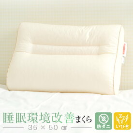 睡眠環境改善枕 防ダニ いびき枕 リビングインピース 35 × 50 cm いびき 枕 防止 まくら パイプ枕 高さ調整 洗える 首 肩 こり 頚椎 横寝 日本製 ギフト プレゼント 梅雨 【防ダニ枕特集】