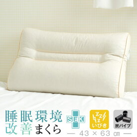 【楽天スーパーSALE 10%OFF】父の日 プレゼント 睡眠環境改善枕 抗菌 防臭 いびき枕 リビングインピース 43 × 63 cm いびき 枕 防止 まくら パイプ 炭 高さ調整 洗える 首 肩 こり 頚椎 横寝 日本製 ギフト プレゼント