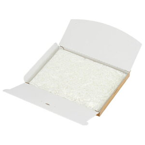  [p pCv dqpCv pCv [ [փpbN ܂