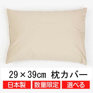 ݌Ɍ Z[ Jo[ 29 × 39 cm TCY  ~j q {  ܂ Jo[ 