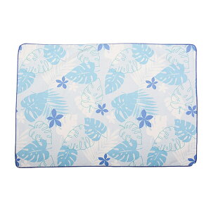  pCv 43 × 63 cm  P/E 43 63 { ܂