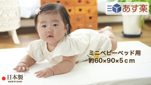 N{^ xr[zc ~j xr[~zc i ~jxr[xbhp 60×90×5cm j ʎq RbgzCg { ł킽1,000g^Cv y xr[zc ~j TCY ~jxr[zc ~jzc 