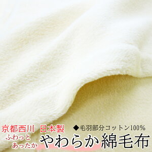 京都西川 ローズ毛布 毛布 タオルケット 通販 価格比較 価格 Com 京都西川 ローズ毛布 毛布 タオルケット 通販 価格比較 価格 Com