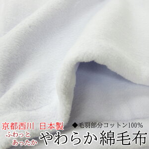 京都西川 ローズ毛布 毛布 タオルケット 通販 価格比較 価格 Com 京都西川 ローズ毛布 毛布 タオルケット 通販 価格比較 価格 Com
