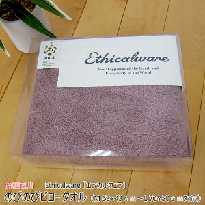 a ̂т̂уs[^I i M 63×43cm`L 70×50cmΉ j Ethicalware uGVJEFAv {[^b` uE { i Y j y ^Is[P[X ܂Jo[ Jo[ s