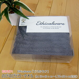 a ̂т̂уs[^I i M 63×43cm`L 70×50cmΉ j Ethicalware uGVJEFAv {[^b` _[NO[ { i Y j y ^Is[P[X ܂Jo[ Jo