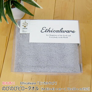 a ̂т̂уs[^I i M 63×43cm`L 70×50cmΉ j Ethicalware uGVJEFAv {[^b` O[ { i Y j y ^Is[P[X ܂Jo[ Jo[ s