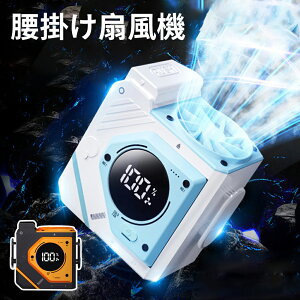 y2025&14zy 9600mAheʁz|@ gѐ@ xgt@ @\ |/|//莝 | Type-C}[d LEDcd\ 3iK  xg@ É ^