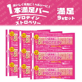 【9本セット】 アサヒグループ食品 1本満足バー プロテインストロベリー 9本 イチゴ 苺 チョコ 菓子 一本満足 プロテイン 手軽 バー栄養調整食品 食物繊維 ビタミン チョコ サクッ レーズン アサヒ 栄養補助 ダブル食感 満腹 間食 運動 バー 朝食 健康 手軽 アミノ酸 39g