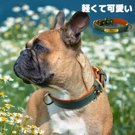 【スーパーSALE限定！ポイント最大10倍】迷子札 犬 首輪 名入れネームプレート 迷子札 オーダー 軽量 おしゃれ チョーカー Dカン無料 小型犬 中型犬 迷子防止 犬 首輪 猫 首輪 名入れ 名前入り 迷子札 犬 送料無料