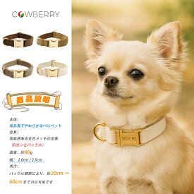 フレブル 首輪迷子札 犬 首輪 犬 ネームプレート 迷子札 オーダー 軽量 フレブル 首輪迷子札 おしゃれ チョーカー Dカン無料 小型犬 中型犬 迷子防止 犬 首輪 猫 首輪 名入れ 名前入り 迷子札 犬 散歩 送料無料