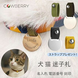 【ポイント2倍】迷子札 犬 名札 ネームタグ 猫 迷子札 ストラップ付き 亜鉛合金 名入れ 軽量 ペット 迷子札 オーダー かわいいペット名札 ステンレス製 両面刻印可能 名前入り 小型犬 迷子防止 送料無料
