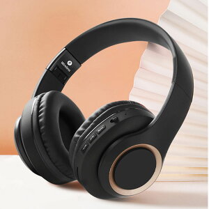 yyV1ʁzwbhz wbhtH Bluetooth5.3 u[gD[X L  }CN  ܂ CX P[uE Cz switch q Hi-Fi XCb` Ή ^ }CNt SDJ[