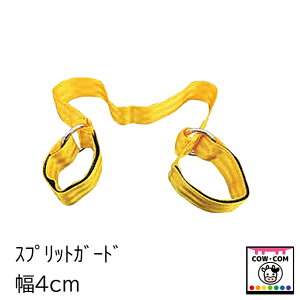 XvbgK[h@4cm@y_pi JEzbv җ􂫖h~z