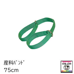 産科バンド 75cm 【酪農用品 畜産用品 産科用品 助産用品】
