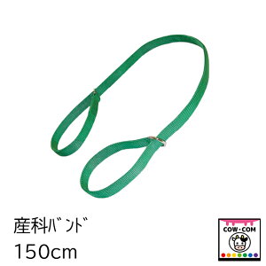 Yȃoh@150cm@y_pi {Ypi Yȗpi Ypiz