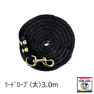 [h[v@ij3D0m@y_pi {Ypiz