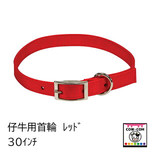 仔牛用首輪 レッド (30インチ/76cm) 【酪農用品 畜産用品】
