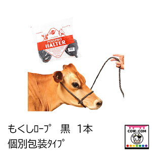 [v@@1{@ʕ^Cv@y_pi {Ypi  NV  [vz