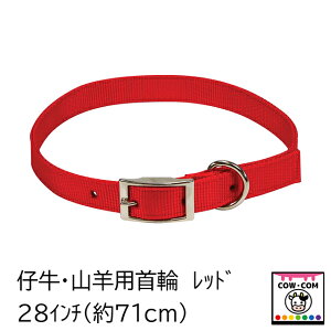 仔牛・山羊用首輪 レッド (28インチ/71cm)【酪農用品 畜産用品】