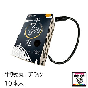 bJہ@ubN@10{@y_pi {Ypi @ @ @J uOz