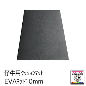 EVA}bg10mmiep}bgjy_pi {Ypi  n[ ؎Ɂz