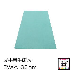 EVA}bg30mmip}bgjy_pi {Ypi  n[z