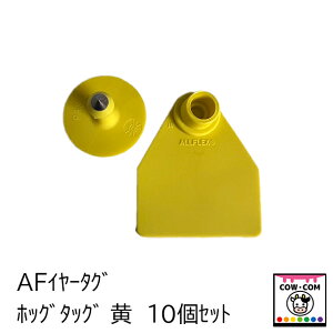 AFC[^O@zbO^bN@@10Zbg@y_pi {Ypi Wz