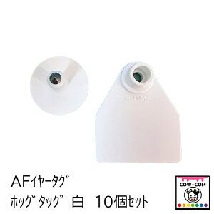 AFC[^O@zbO^bN@@10Zbg@y_pi {Ypi Wz