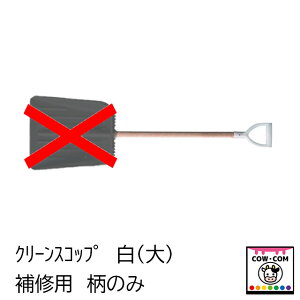 yCizN[XRbv@iĵ݁@y_pi {Ypi _ z