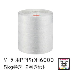 べーラー用PPトワイン H6000  強度110kgf 5kg巻き 2巻きセット【酪農用品 畜産用品】