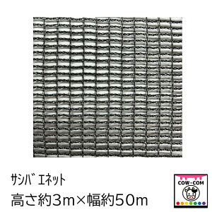 TVoGlbg@3m×50m