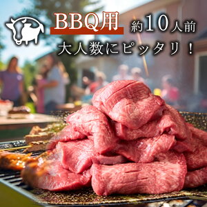 o[xL[őlC ^ 10lO 1200g(200g×6pbN) ؂  ē  BBQ Lv ؂苍^ ^Zbg ^E^   蕨 j 