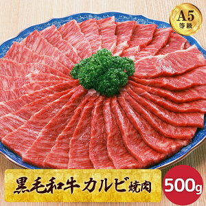 јa Jrē 500g A5N a  J^[X Ef o ̓ ̓ av[g  ē 񂹃O  Jr Mtg 蕨  Mtg 