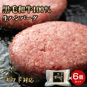 Ε Mtg Iv~A~no[O јa̐no[O 6 Mtg 蕨 v[g  񂹃O j a   i 