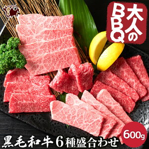 【500円OFFクーポン配布中】 バーベキュー 高級肉 BBQ 焼肉 特上国産黒毛和牛 6種盛り合わせ 3〜4人前 A4.A5ランク サーロイン かぶり リブロース バラ カイノミ カルビ 600g(各部位100g)ぜいたく