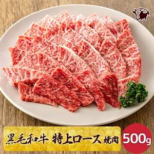 јa ㍂~ē 500g A5N a T[C u[X v[gBBQ   Mtg ē 񂹃O  蕨 a j j 