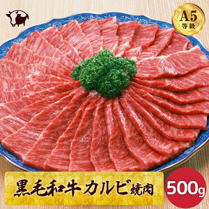 јa Jrē 500g A5N a  J^[X Ef o av[g   ē 񂹃O  Jr Mtg 蕨  Mtg 