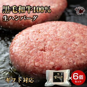 Iv~A~no[O јa̐no[O 6 Mtg 蕨 v[g  񂹃O j a   i 