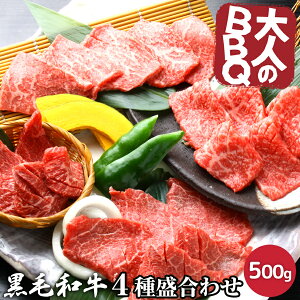l BBQ o[xL[ ē 4퐷荇킹 3`4lO јa ネ[X Jr Jr  500g   蕨 Mtg Ε i v[g 
