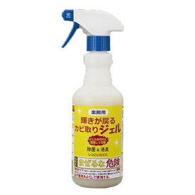 【ポイント10倍 12/13 10:00〜12/15 23:59まで】業務用 輝きが戻る カビ取りジェル 500mL