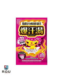 y|Cg10{ 12/1 0:00`23:59܂ŁzyR.O.UzoC\  (΂Ƃ) \[_XJbV̍ 60g 