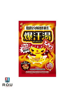 y|Cg10{ 12/1 0:00`23:59܂ŁzyR.O.UzoC\  (΂Ƃ) zbgWW[̍ 60g 