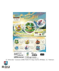 y|Cg10{ 12/1 0:00`23:59܂ŁzyR.O.Uz[g |P eERNV14 BOX