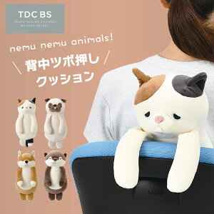 y|Cg10{ 11/27 12:00`12/3 23:59܂Łzy[Nzwc{NbV bNX }bT[W    ق 񂽂 킢 ݂˂ 䂸 pO ni JE\ 