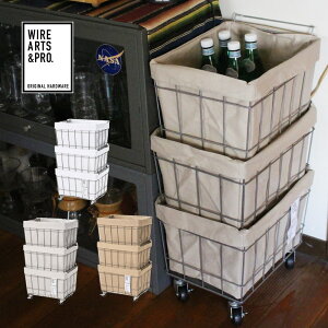 y|Cg10{ 11/11 12:00`11/16 23:59܂ŁzyzBRID X^bLOoXPbg 3 | ubh CeAG [  3i  C[ LX^[t   [{bN