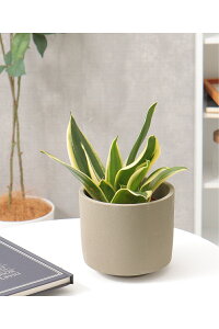 mN[|bg Mynotch.zCeA ObY G Aؔ K[f