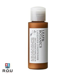 y|Cg10{ 10/4 20:00`10/9 1:59܂ŁzyR.O.Uz[t&{^jNX {fB\[v x_[ ~jTCY 50mL