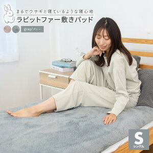 ~pbh VO 100×205 ~ H }CNt@Co[ 4S @OK ې O[ sN 57541 ~pbhȂCOYOLI