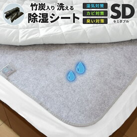 【お買い得2枚セット】 除湿シート 洗える セミダブル 110x180 竹炭入り 除湿マット 湿気取りシート 湿気対策 吸湿マット M51676